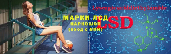 мяу мяу мука Арсеньев