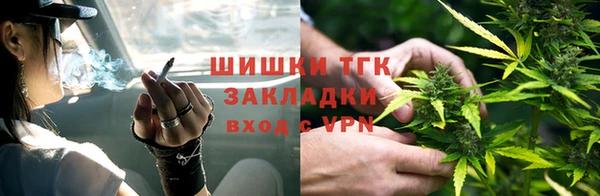 мяу мяу мука Арсеньев