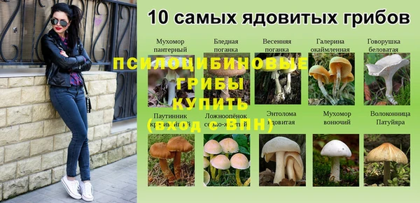 спиды Аркадак