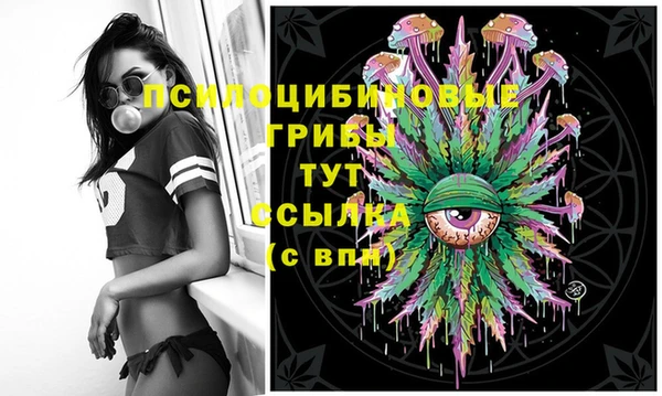 спиды Аркадак