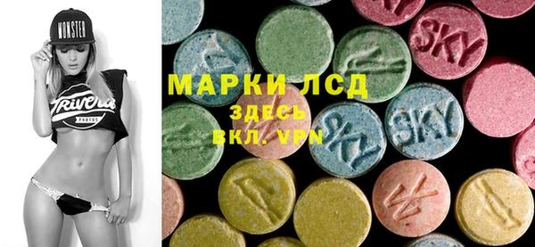 спиды Аркадак