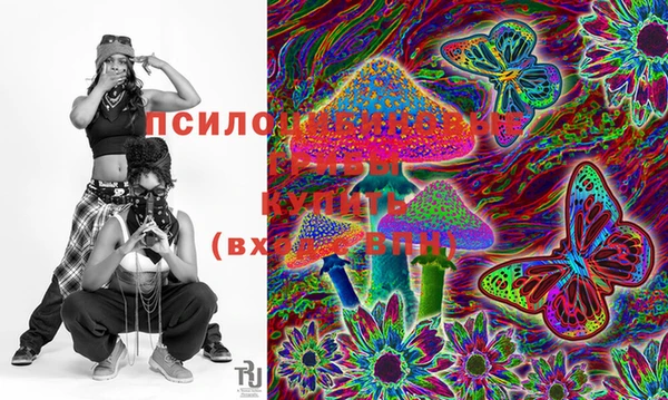 прущая мука Армянск